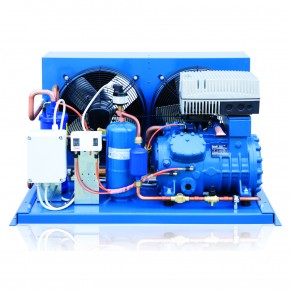 Компрессорно-конденсаторный агрегат LaBlu Frascold LB-V2571-3Y-2M